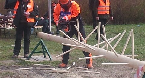 Zdjęcie do artykułu: Drwale z TL Lesko na krajowej arenie