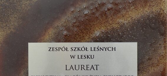 Zdjęcie do artykułu: Tytuł Kuźni Mistrzów Mowy Polskiej dla Zespołu Szkół Leśnych w Lesku!