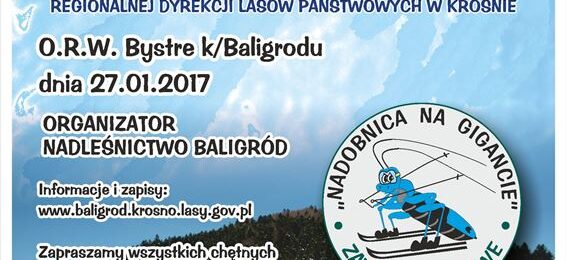 Zdjęcie do artykułu: Zawody w narciarstwie zjazdowym „Nadobnica na gigancie”