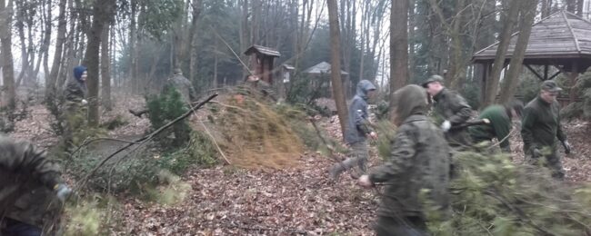 Zdjęcie do artykułu: Praca wolontariacka w ramach Inicjatywy „Las to nie tylko drzewa”