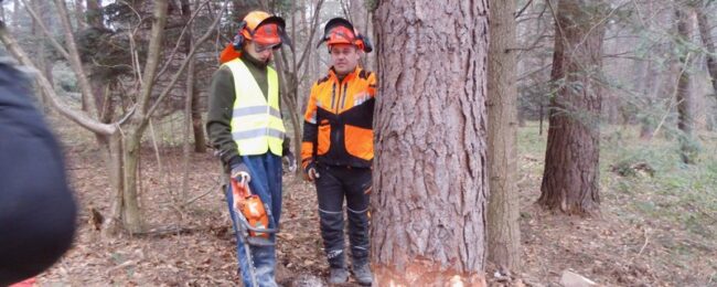 Zdjęcie do artykułu: Kurs drwala – operatora pilarki 2017