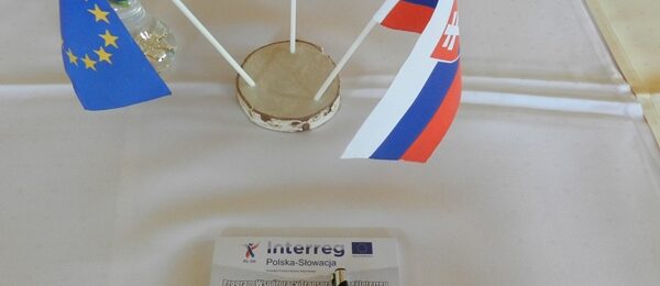 Zdjęcie do artykułu: Lasy nie znają granic – Interreg analiza porównawcza