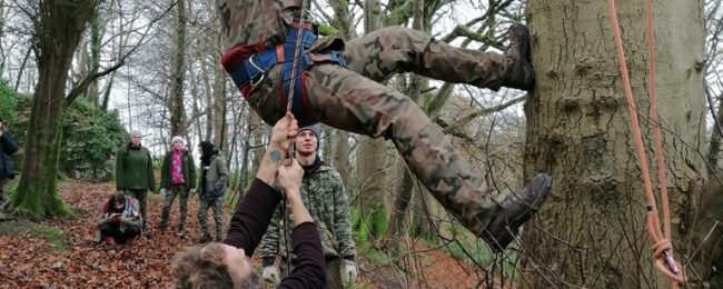 Zdjęcie do artykułu: Nature skills, tree climbing, felling and coppicing –  kolejny tydzień w Irlan…