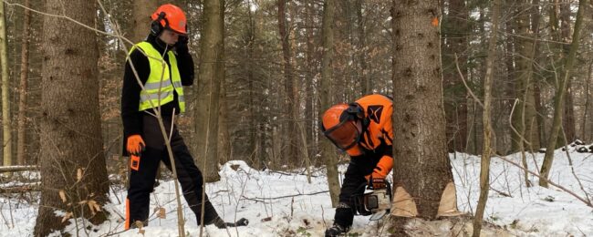 Zdjęcie do artykułu: Zimowe praktyki zawodowe – kurs drwala