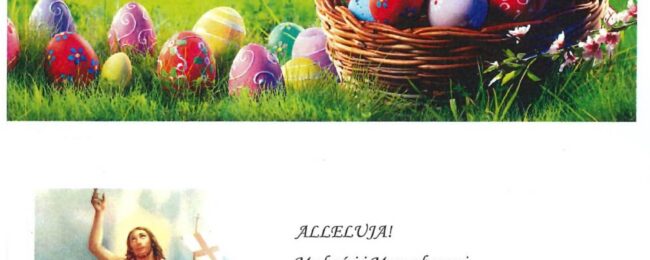 Zdjęcie do artykułu: Życzenia świąteczne
