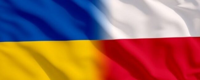 Zdjęcie do artykułu: Pomoc dla Szkoły Leśnej w Bolechowie w Ukrainie.