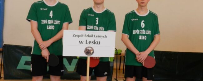 Zdjęcie do artykułu: Ogólnopolski Turniej Tenisa Stołowego