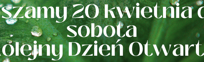 Zdjęcie do artykułu: 