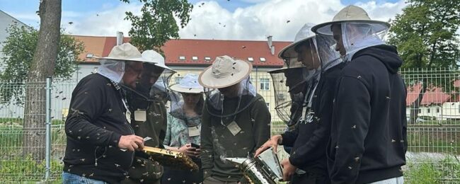 Zdjęcie do artykułu: Kurs pszczelarski