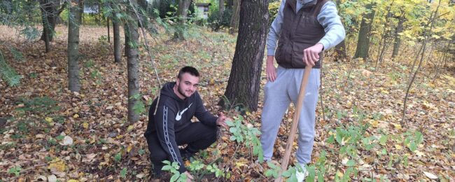 Zdjęcie do artykułu: Dzień Drzewa w Technikum Leśnym w Lesku