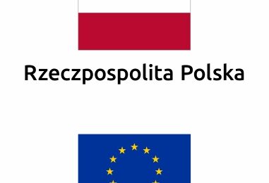 Zdjęcie do artykułu: Przyroda i leśnictwo w lasach Irlandii – FERS