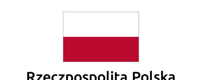 Zdjęcie do artykułu: Przyroda i leśnictwo w lasach Irlandii